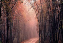 威尔士队豪取胜利，将继续争夺欧锦赛冠军