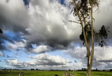 斯洛維尼亞隊在歐國聯賽中一路風雲，取得胜利