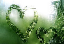 八一主场迎战深圳佳兆业，谁将笑到最后？