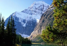 游泳比赛场外选手心声：汗水不白流回报感谢