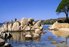 上海申花主帅调整阵容，策略应对亚洲联赛挑战